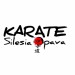 Karate Silesia Opava
