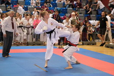 ME karate JKA – mládež, veteráni, 194/212