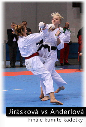 Mistrovství světa JKA karate, 14th Funakoshi Gichin Cup